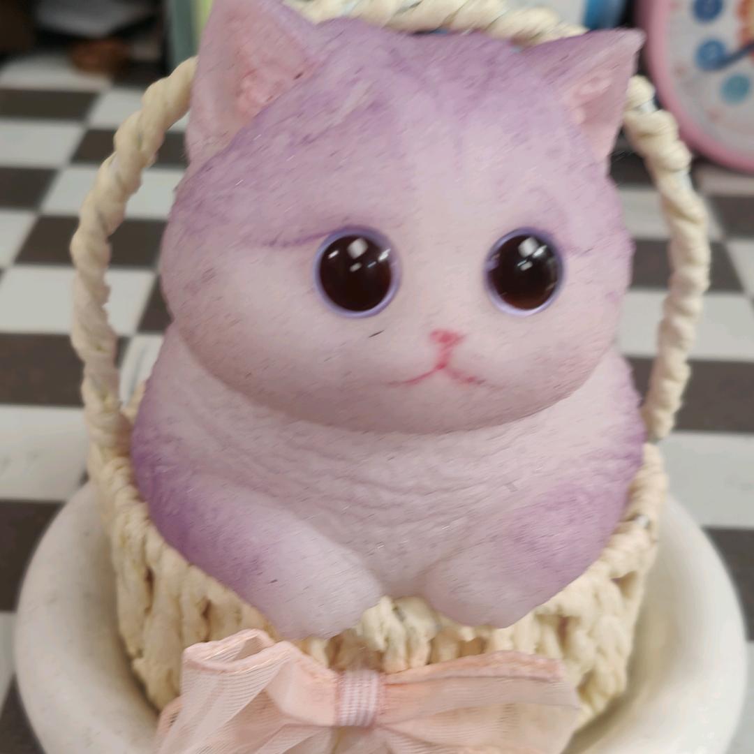 小金猫
