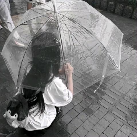 遮月.