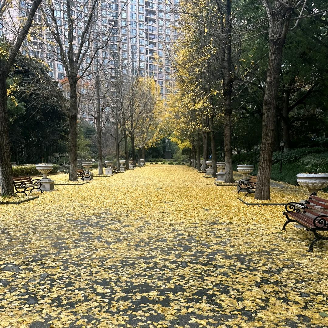 欧阳媳妇橱窗🈶好物