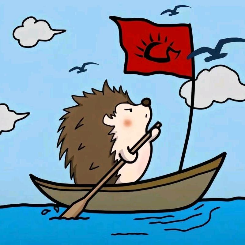 海盗🏴‍☠️船长