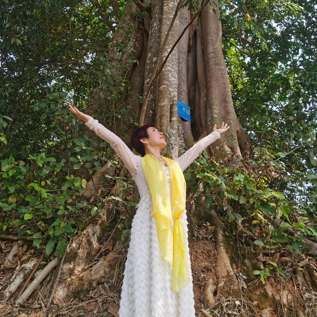 王俪霏（兰妃丽人）