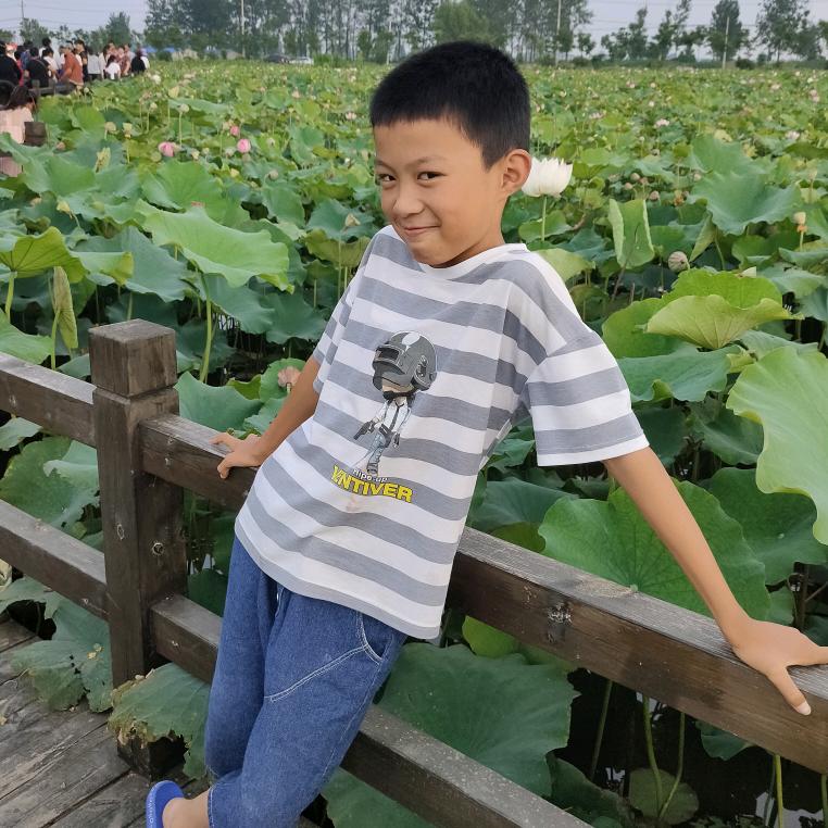 🌻今天为你祝福，🦩