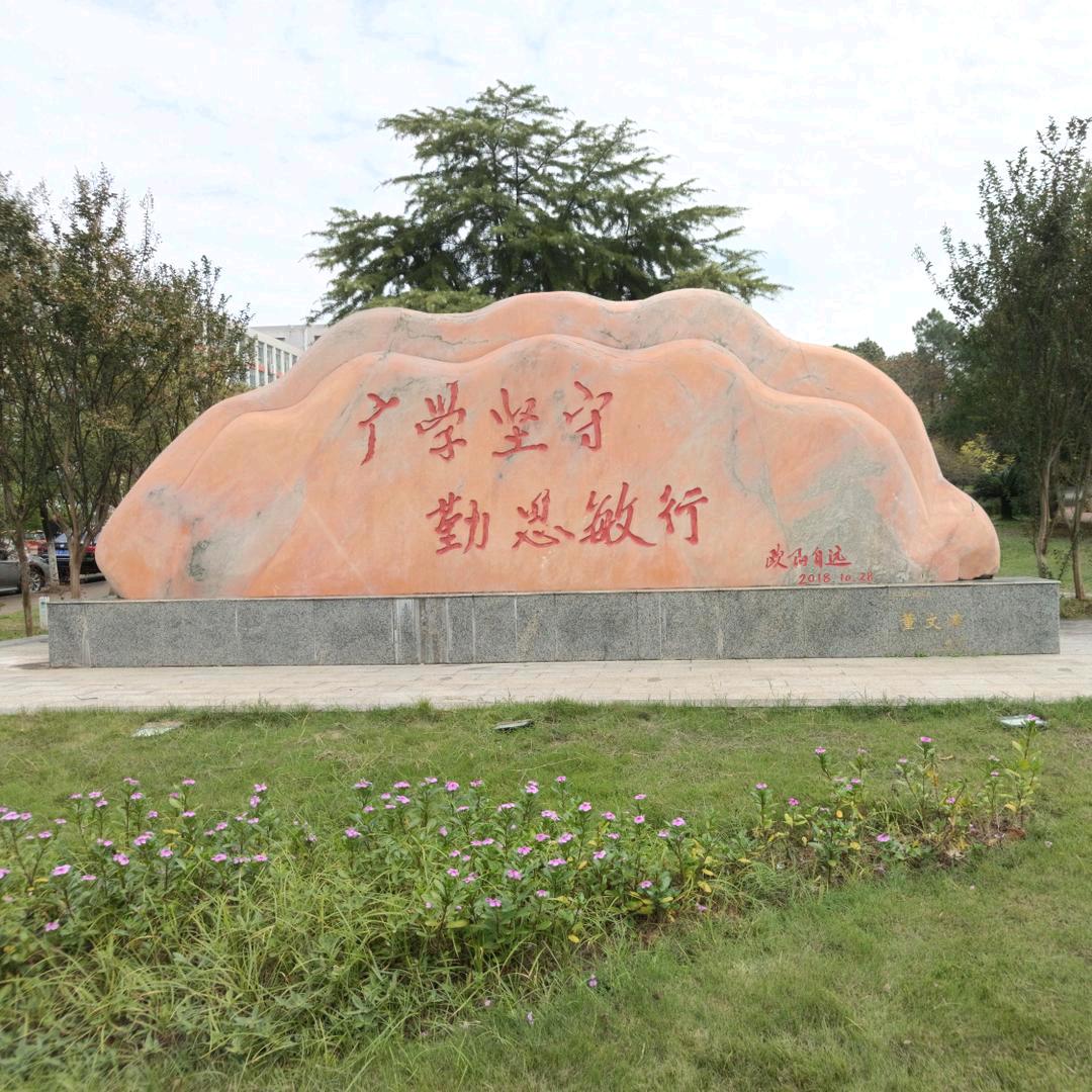 奋斗的青春