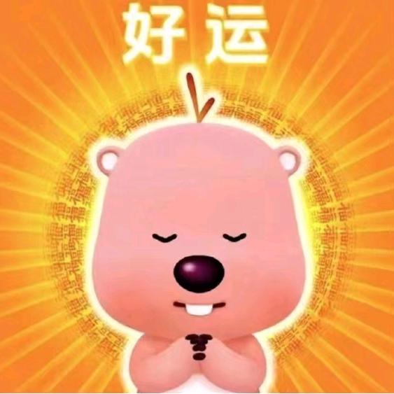 螺丝粉家小肉包