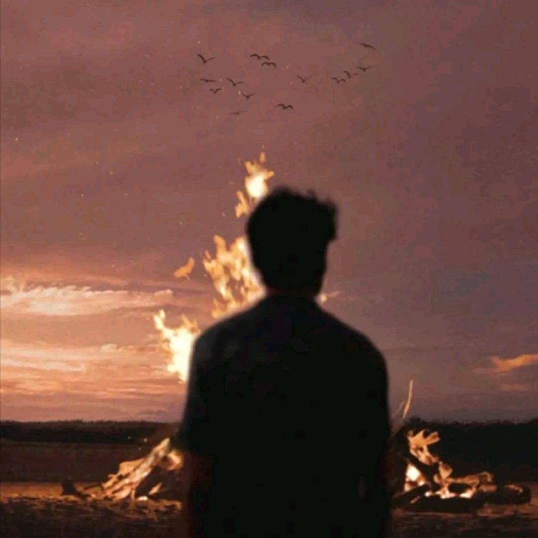 我将日落诉于你