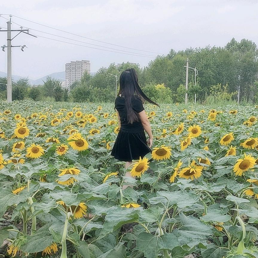 橘子