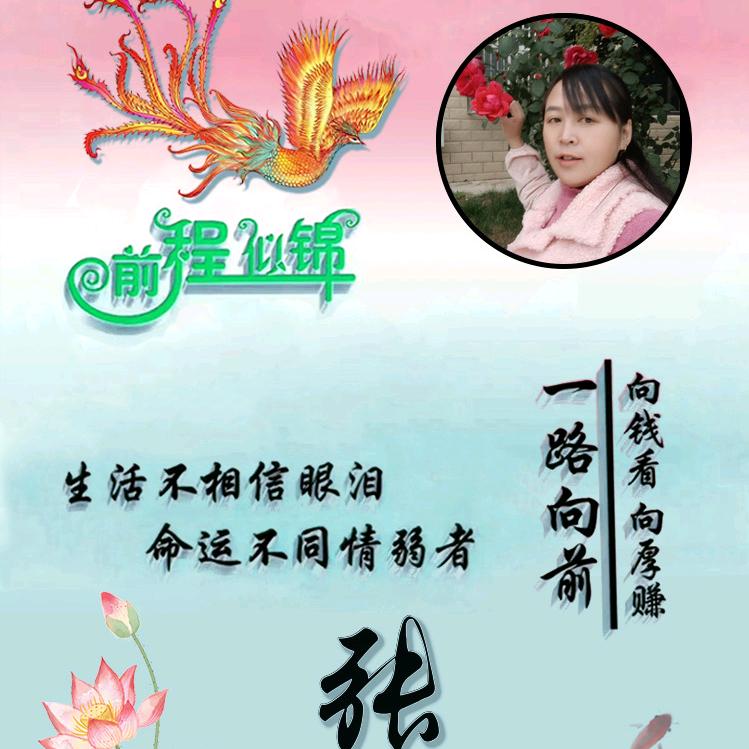 💐顺❤️其⭐自👍然👊