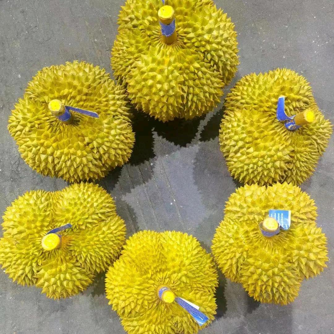 @逍遥自在