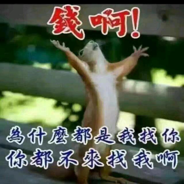 余生随心