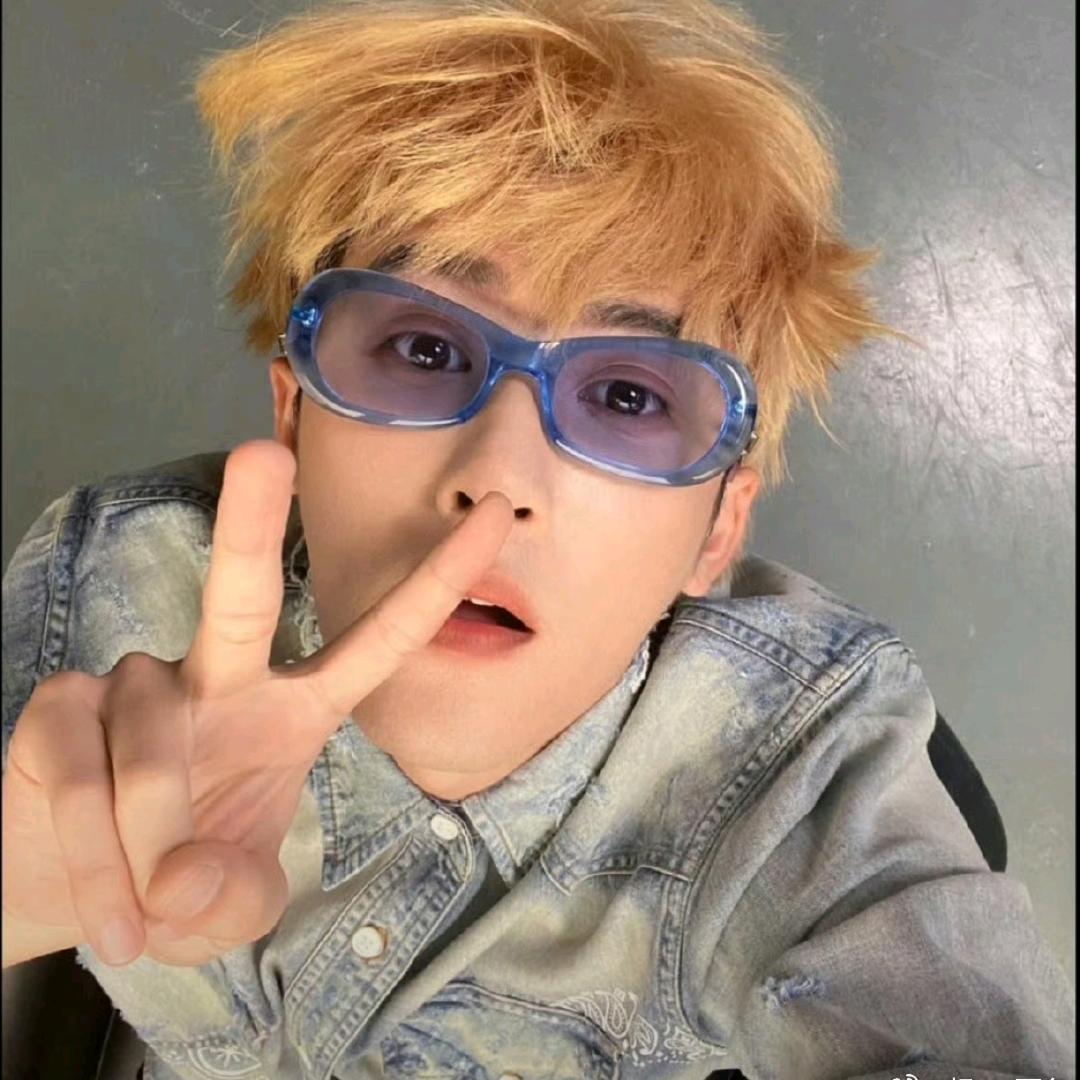 倒霉鬼散狗6