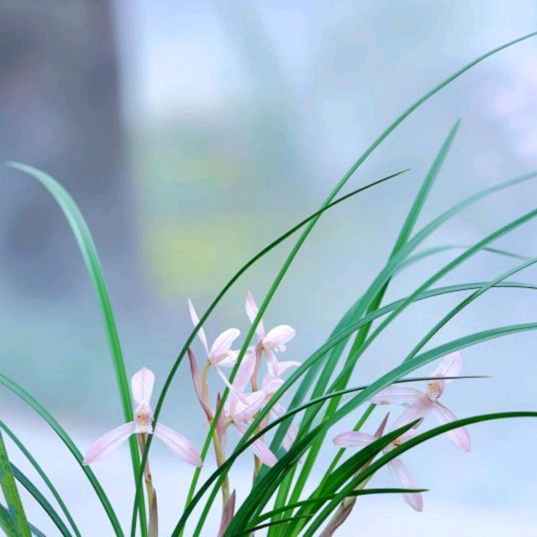 云淡风清☁️