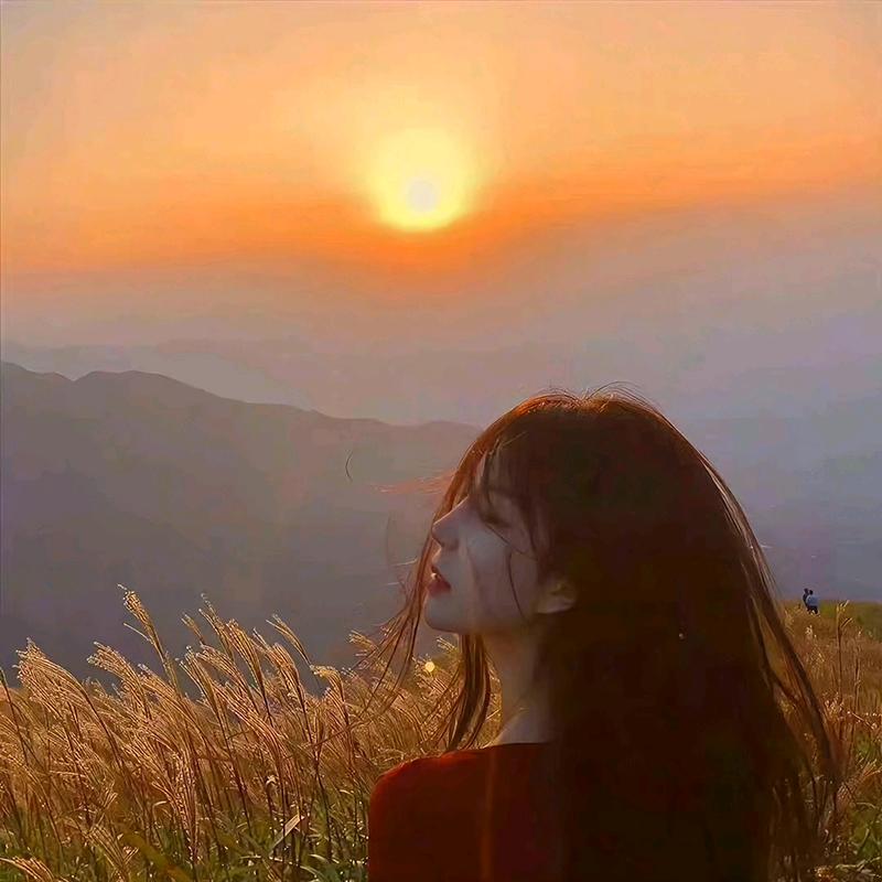 所愿皆星河