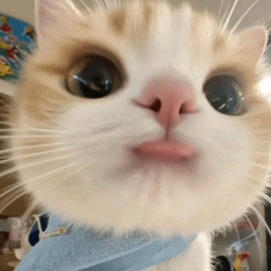 苏苏ᴶᴷ