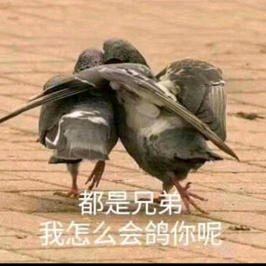 白手起家