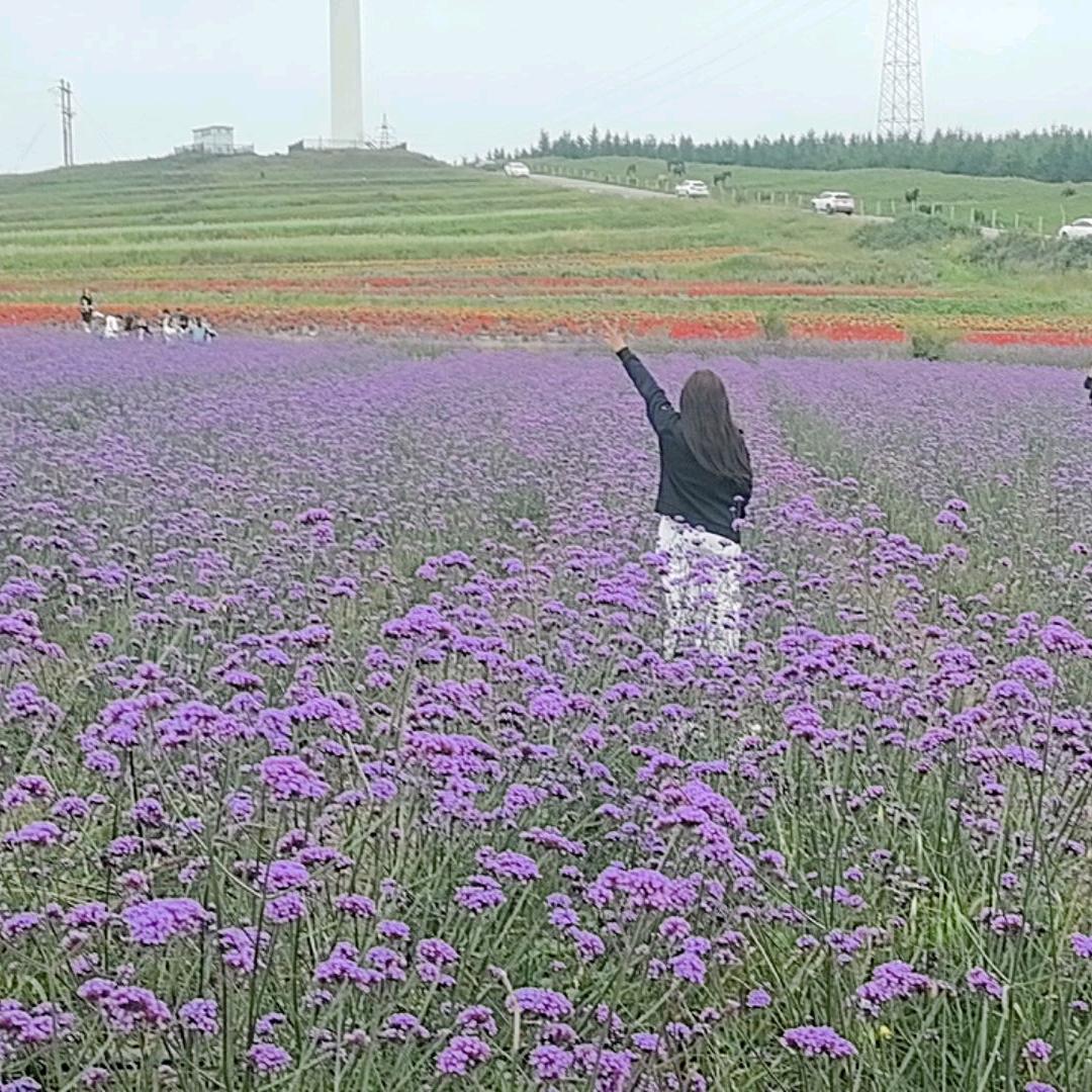 幸儿