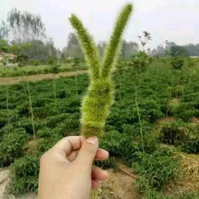 豫阁