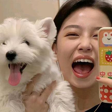 猫跟你都想了解