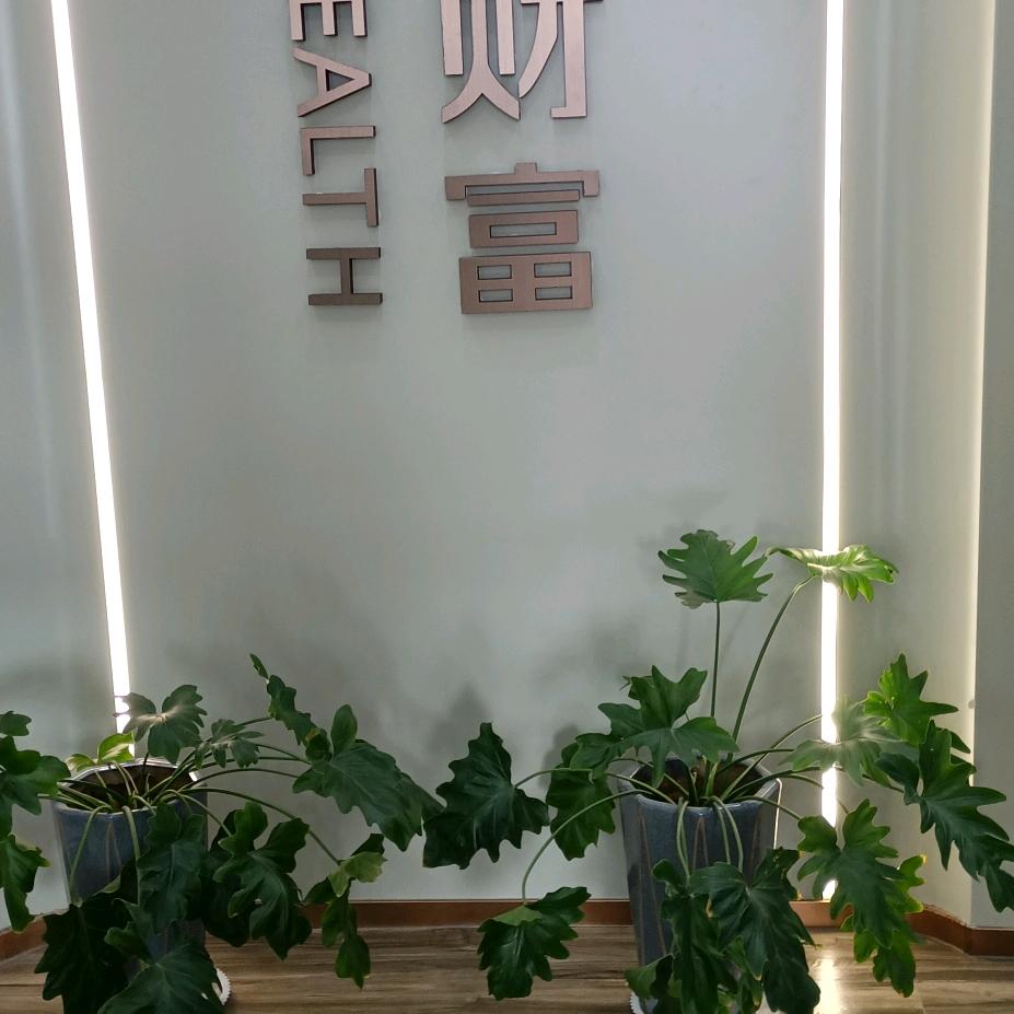 金***