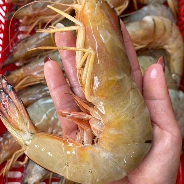 好姐生鲜2号码头