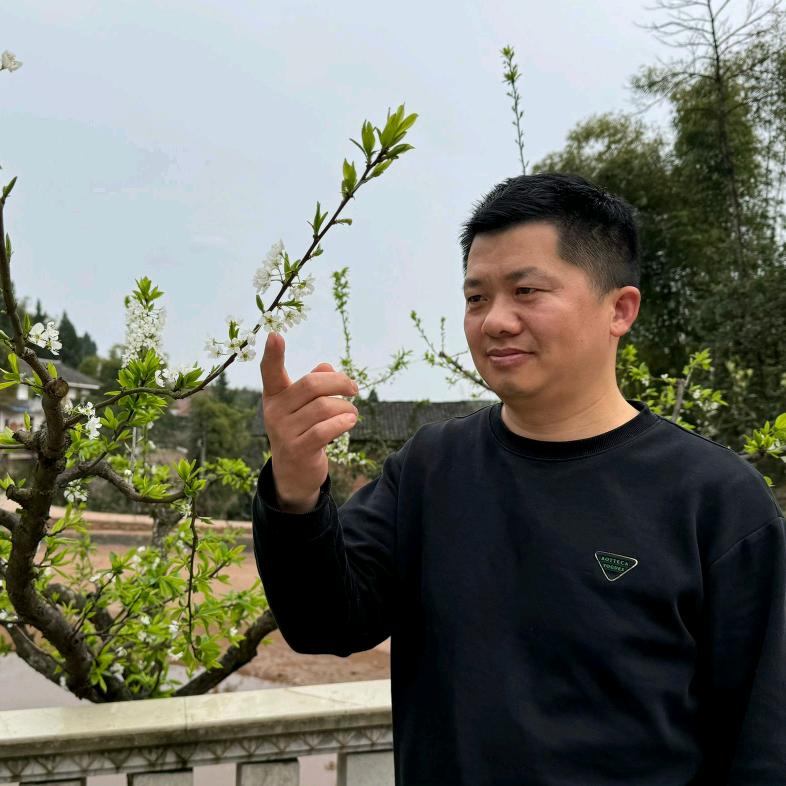 大彪手撕鸡