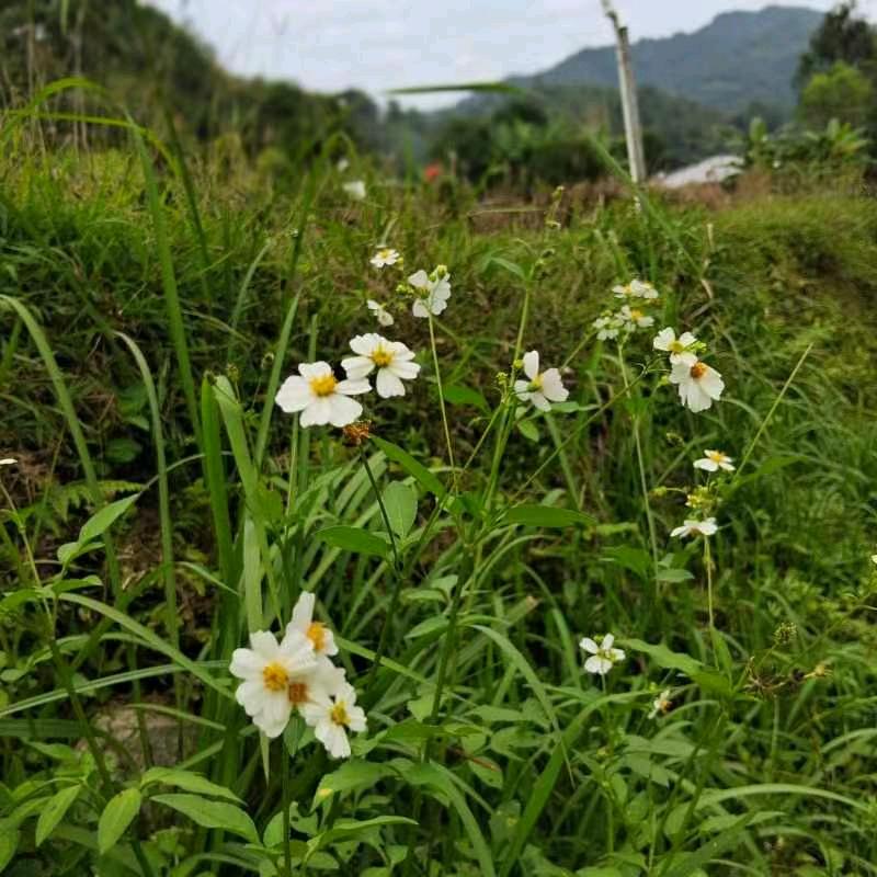 有谁懂我的心事