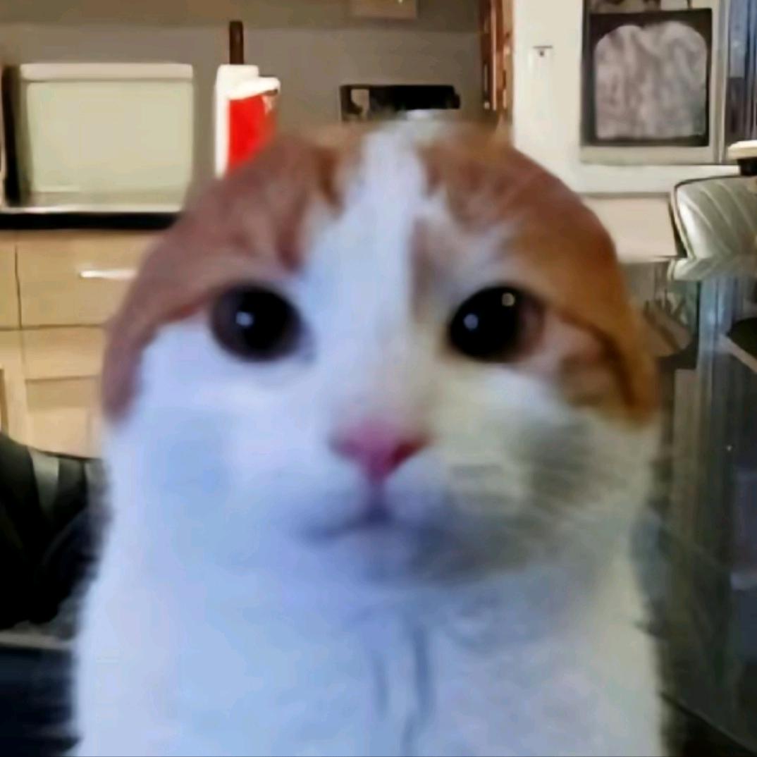陈喜爱