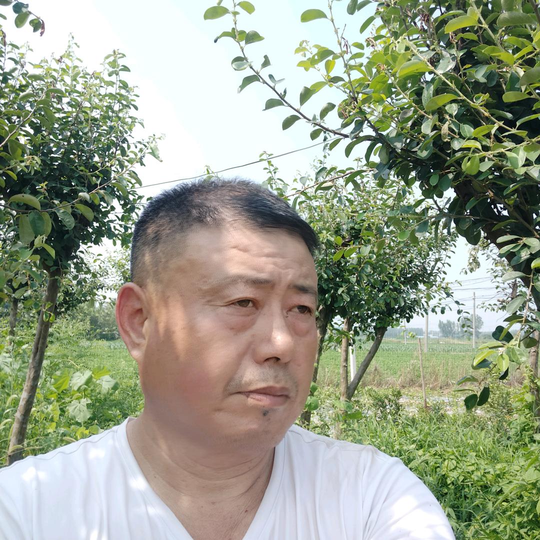 南阳碧波金桔园，波哥