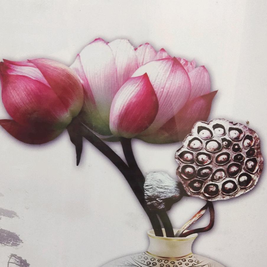 杜姐，六七年的羊