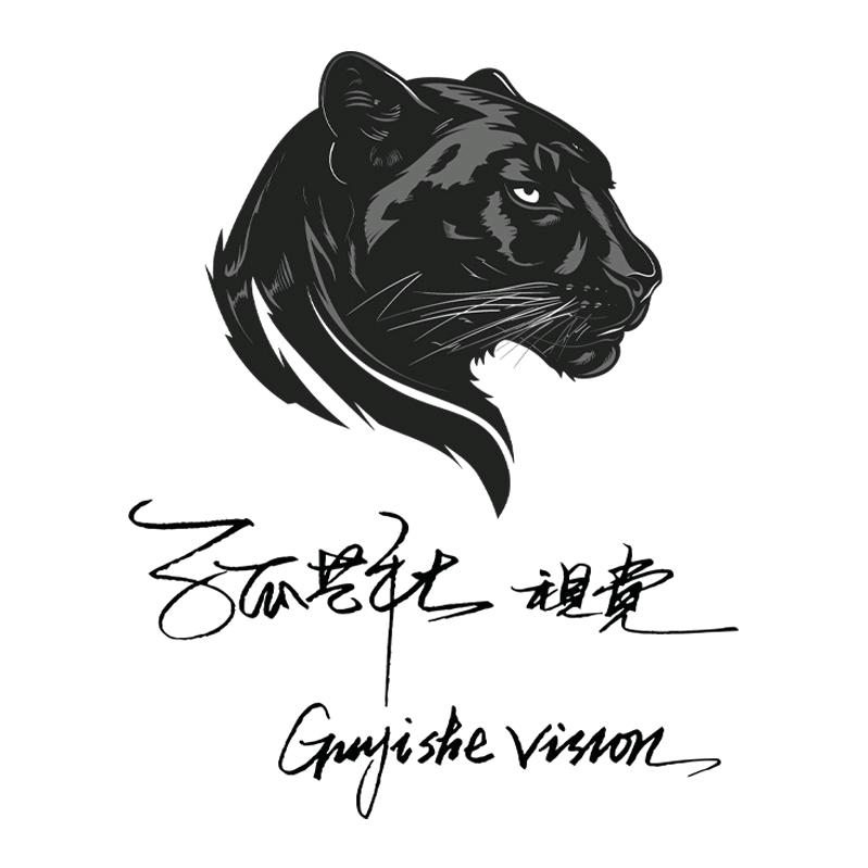 孤痞映像