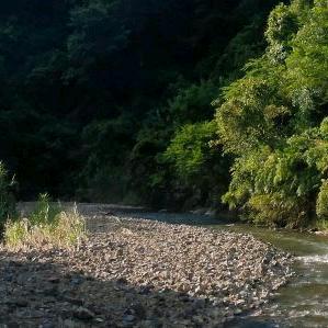 星辰大海罗秉政