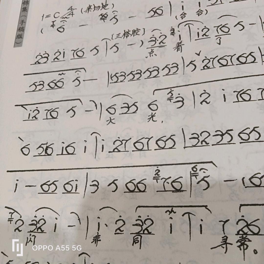 知音（才艺主播）