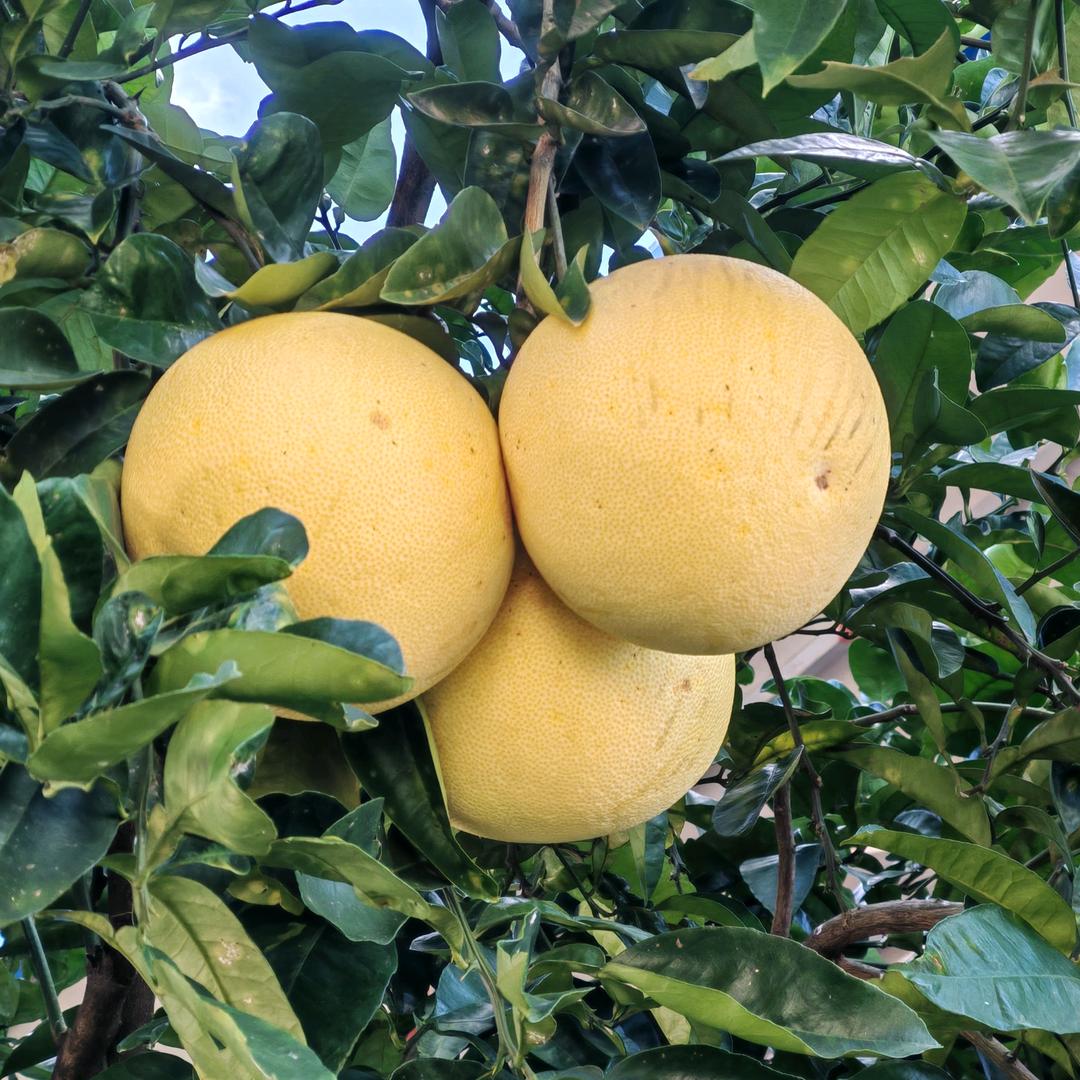 ⁴¹天道酬勤不酬怨₁₃