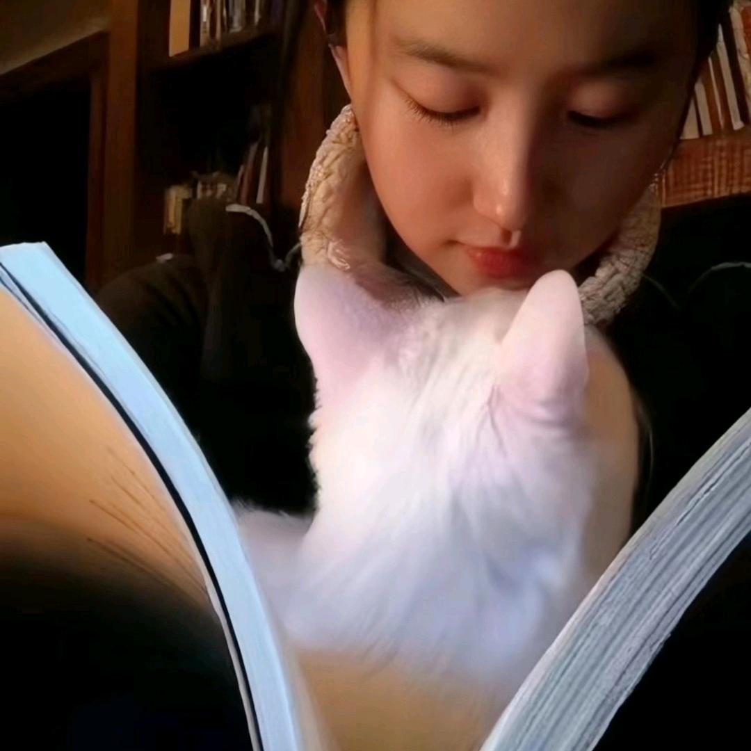 乖宝汤圆（🔝🎁）