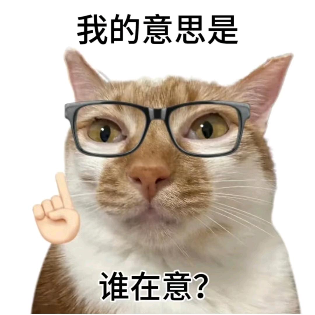讨厌做饭