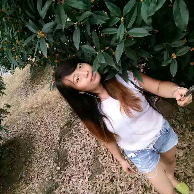 鱼儿