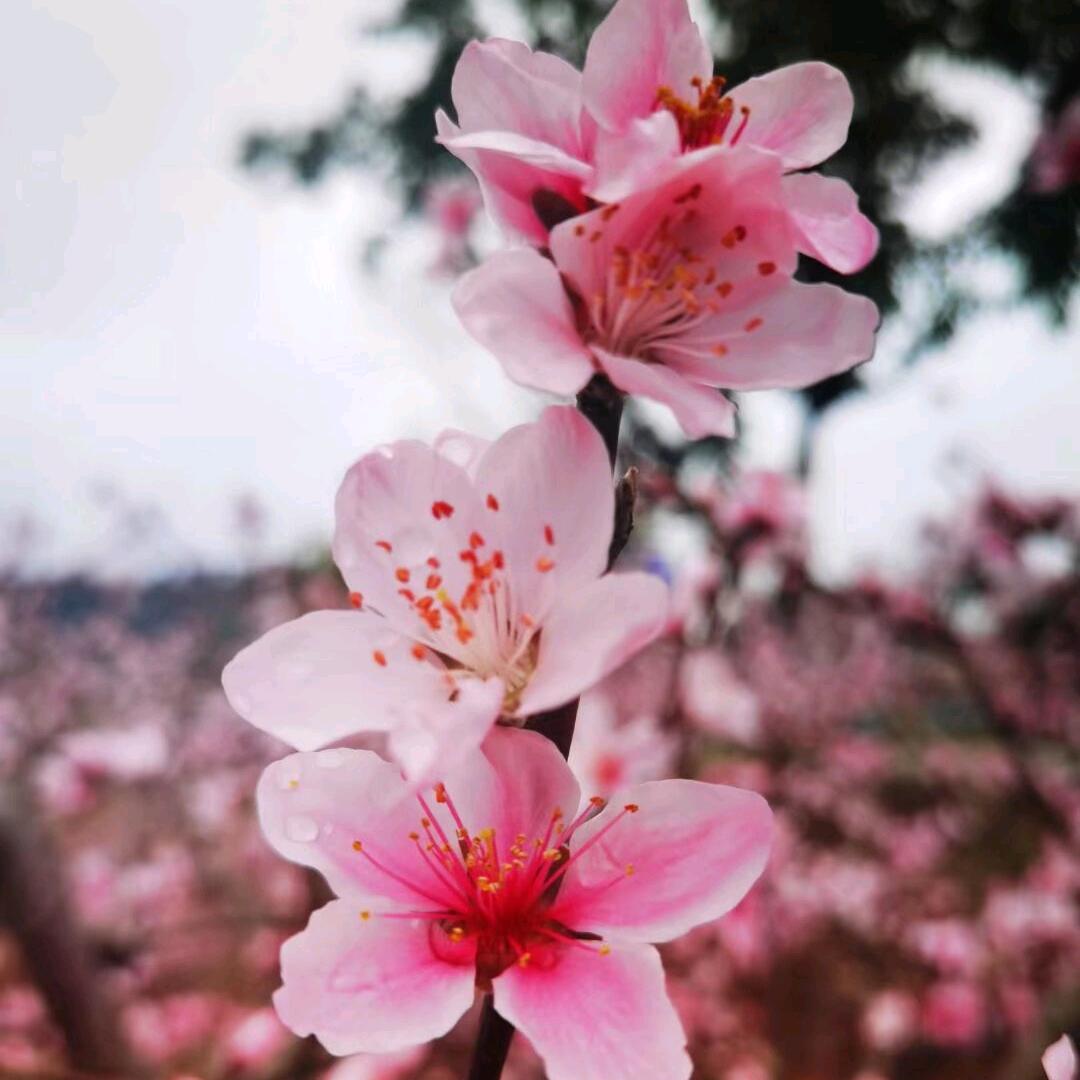 一丢丢