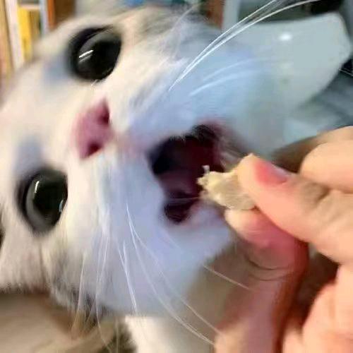 毕参