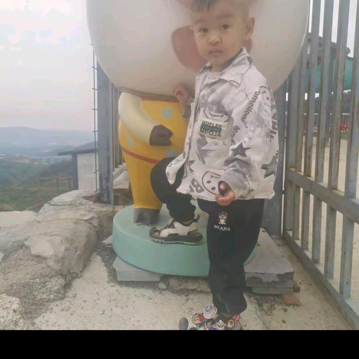 新密强哥