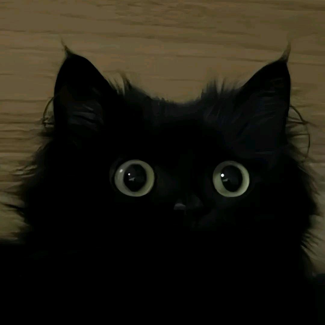 唯独