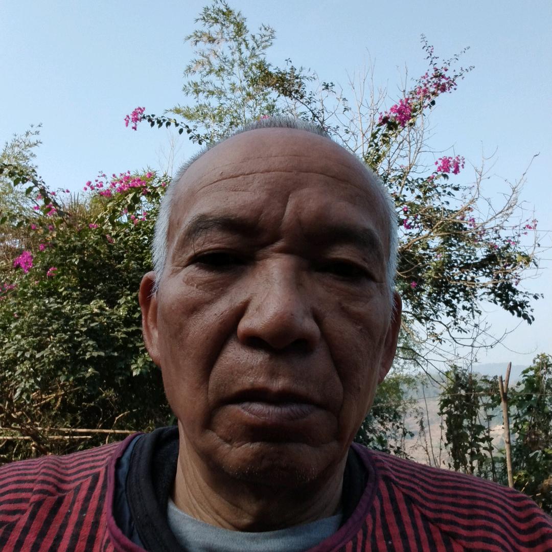 罗大爷