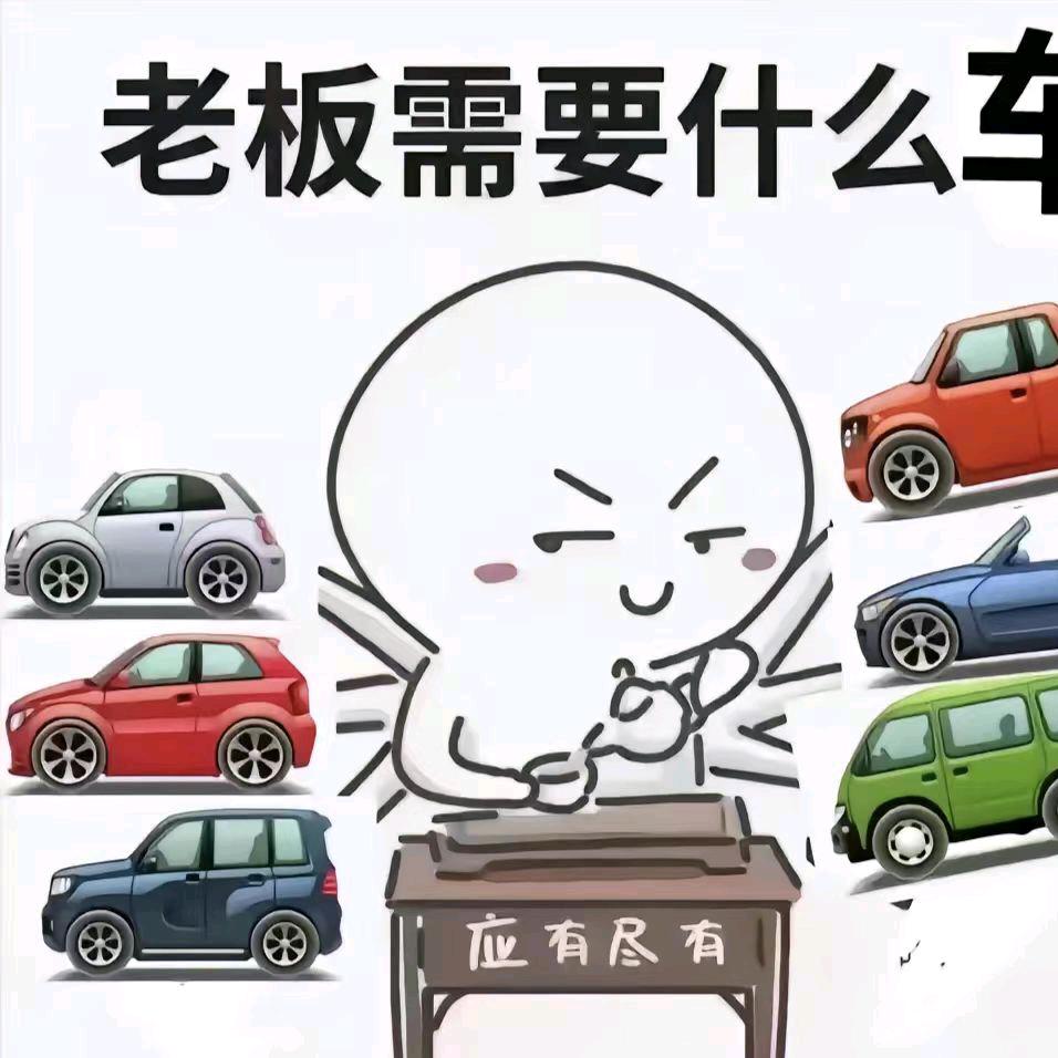 人人都能开起车