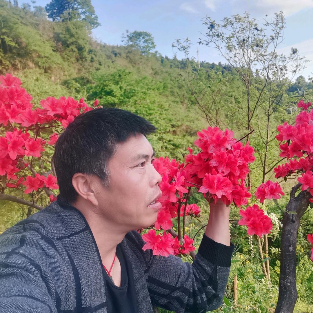 顺气自然