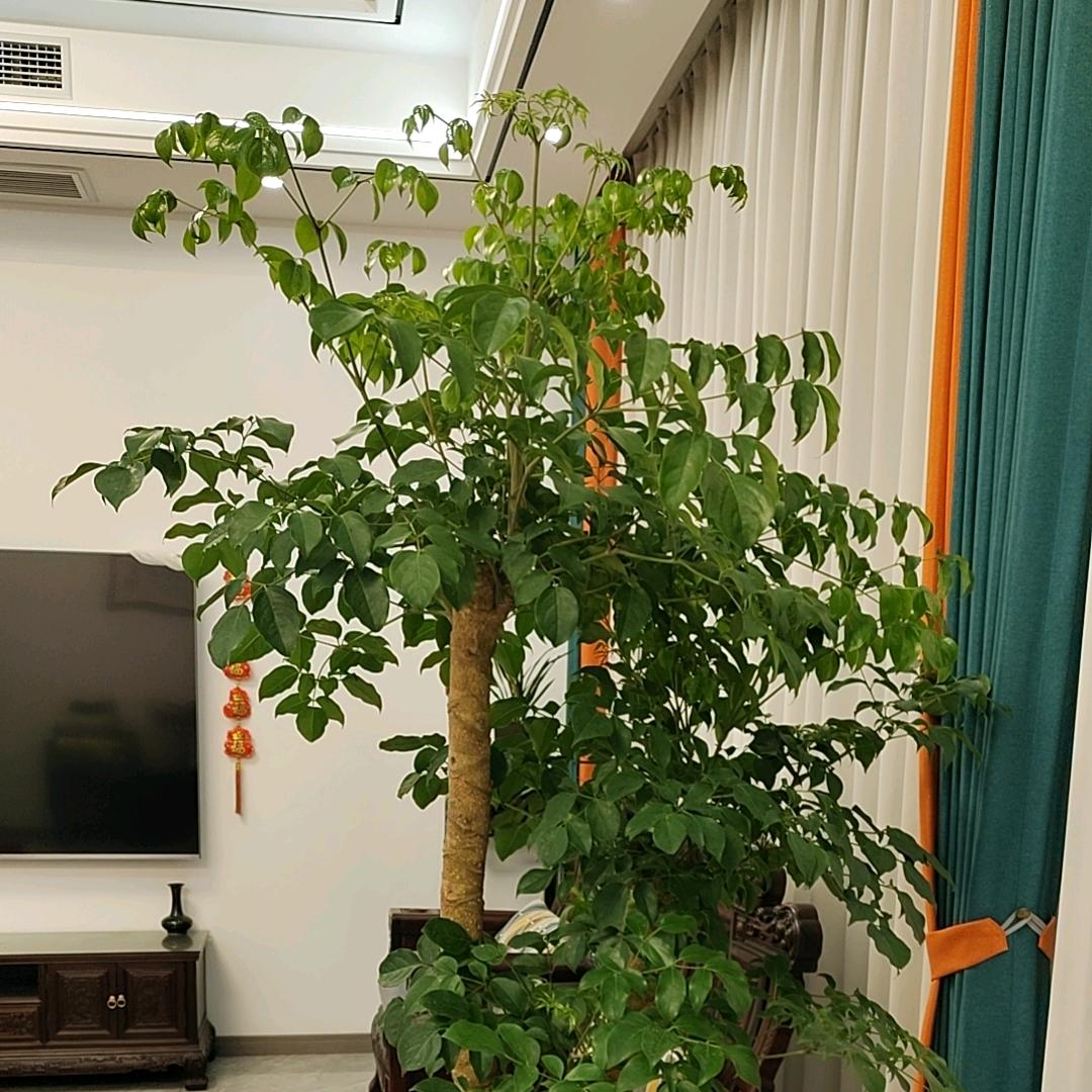 明天会更好拒绝私聊