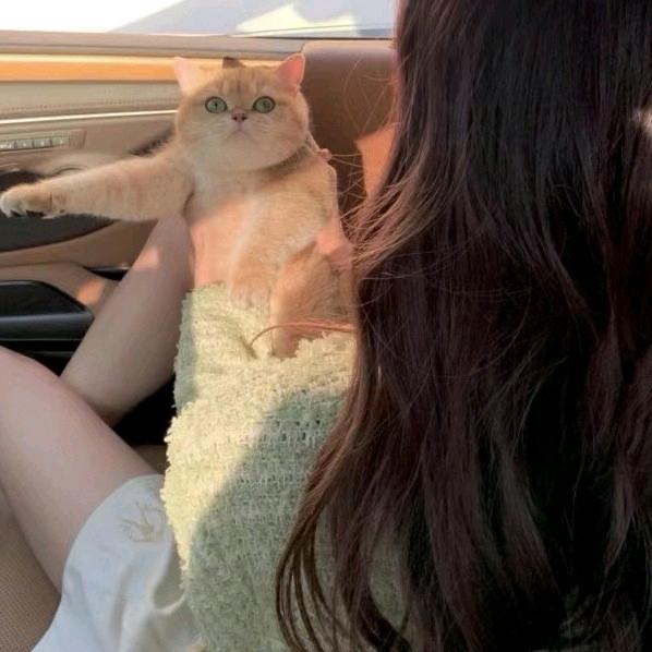 雾潋