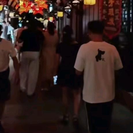 小潘鸟食2号