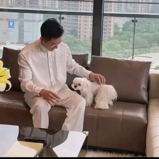 我是实在人。