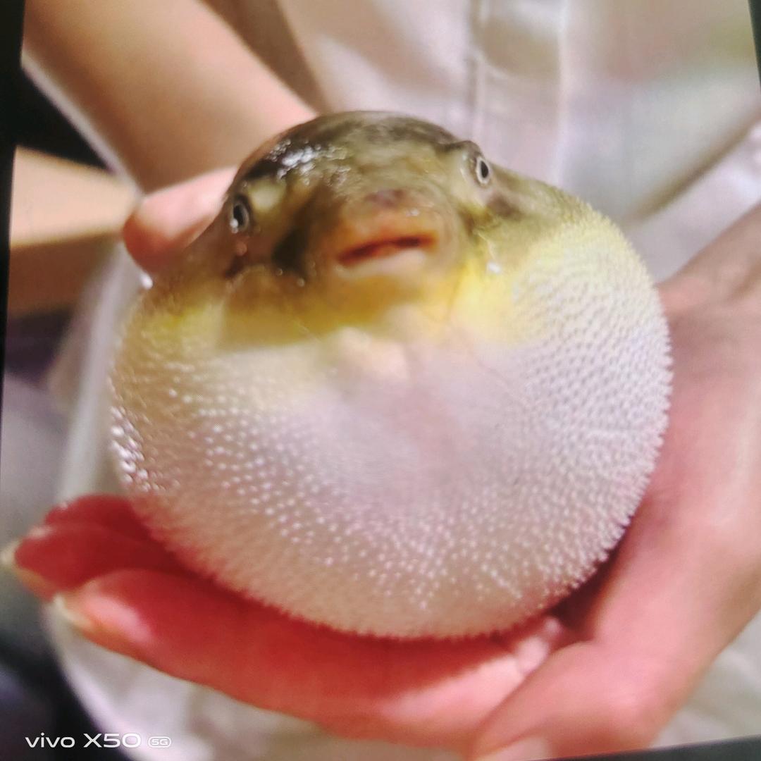 北海莫先生赶海民宿