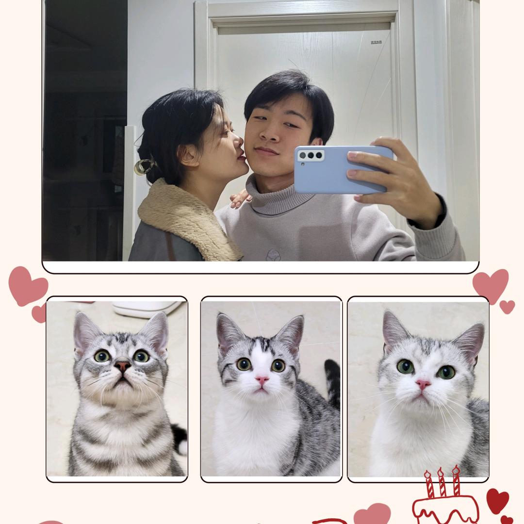 可爱乖乖包              /