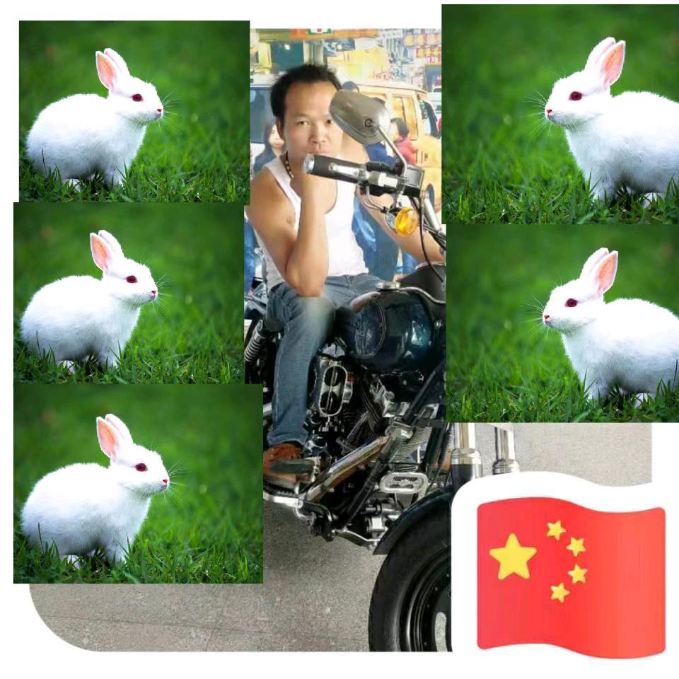 👉仑苍人搬运👈