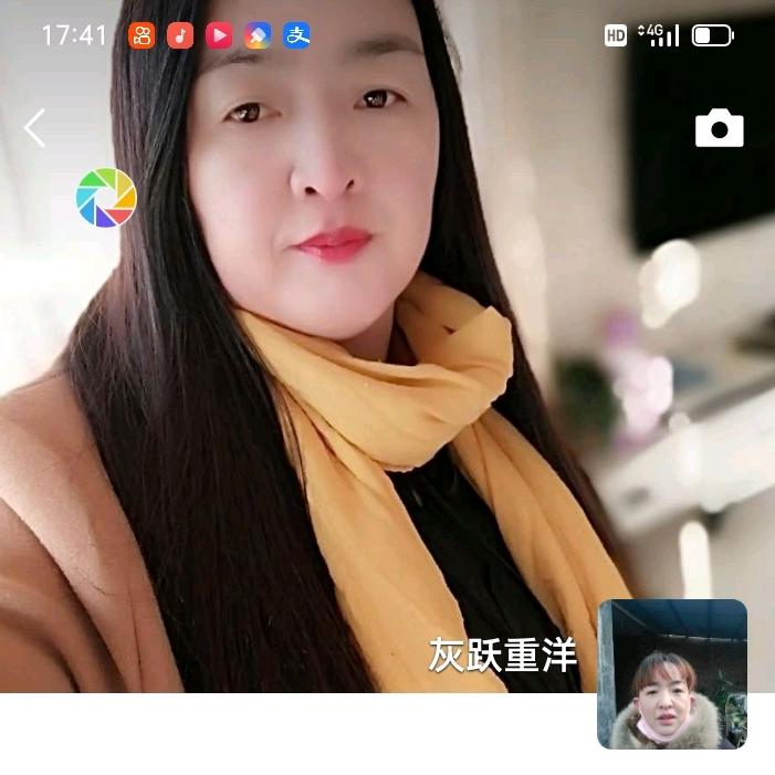 灰跃重洋